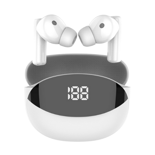 Headphone & Earphone