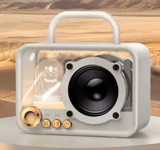 M10 Wireless Speaker